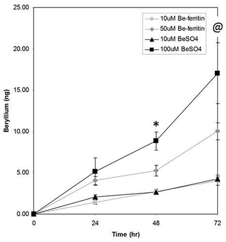 Figure 2. Time-dependent association of beryllium with APC. Association of beryllium with 1332-EBV cells (±SE; n = 3) increases with time. At time 0 and 24 h, there was no statistically significant differences across treatment in the amount of Be associating with cells. At 48 h, the amount of Be associating with cells cultured with 100 μM BeSO4 was higher than with cells cultured with either 10 μM BeSO4 or 10 μM Be-ferritin (*p < 0.019 and p < 0.001, respectively). At 72 h, the amount of Be associating with cells challenged with 100 μM BeSO4 was higher than with cells challenged with 10 μM BeSO4 or 10 μM Be-ferritin (@p < 0.049). The amount of Be associating with cells was not statistically different between the cells in the 100 μM BeSO4 and 50 μM Be-ferritin regimens (p < 0.20).