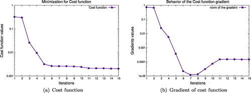 Figure 4. Behavior of the cost function and its gradient in the minimization process, corresponding to the real measurement data.