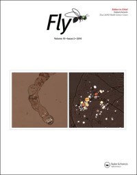 Cover image for Fly, Volume 17, Issue 1, 2023