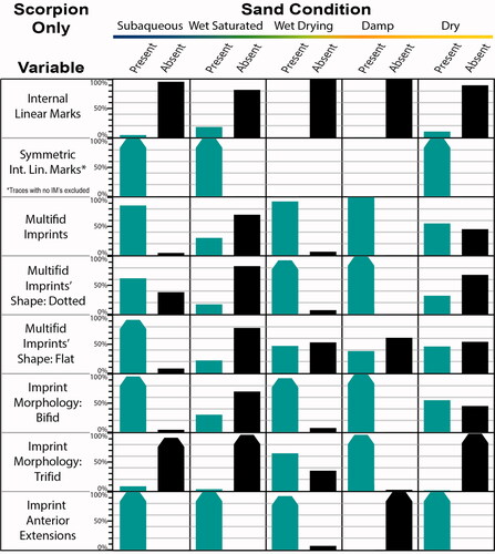 Figure 10. Binary variable trends for scorpion trackways split by five sand conditions (all slopes included in each of the five conditions, so variability due to slope is accounted for). Shown are the percentages of analyzed trackway segments (ATS) in a condition that are present and absent. Note that for “Symmetric Int. Lin. Marks” (= LM Asym), ATS without internal marks were not included in calculations of percent values. Tapering added to bars near 100% for visual clarity.