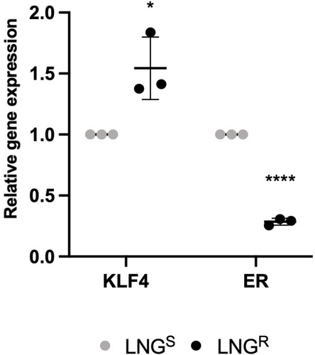 Figure 7 LNG-resistant cells express different levels of mRNA to controls in primary cell lines. ΔCt mRNA expression of significant key genes in the LNGS (grey) and LNGR (black) primary cell lines. RT-qPCR was performed in triplicate and Ct values were normalised to three different housekeeping genes (SDHA, HSPCB, and RPL13A). mRNA expression of KLF4 was amplified in all three primary LNG-resistant cell lines compared to LNG-sensitive controls, represented by a lower ΔCt. mRNA expression of ER was downregulated amplified in all three primary LNG-resistant cell lines compared to LNG-sensitive controls represented by a higher ΔCt. Results are expressed as mean ± SEM, experiments were performed in triplicate (n=3). Individual groups were analysed using t-test. *P <0.05, ****P < 0.0001.