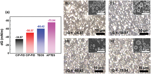 Figure 2. (A) Gibbs free wetting enthalpy (ΔG) of CIP with different surfaces. OM images of (b) CIP – FID, (c) CIP – PID, (d) CIP-TEOS and (e) CIP-APTES/PDMS composites with (insets) top views of SEM images.