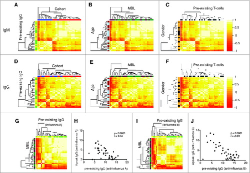 Figure 1. Vaccine response profiles of healthy vaccinees cluster by vaccine preparation and pre-existing adaptive immunity. The hierarchical clustering of IgM (A, B, C) and IgG (D, E, F) profiles is shown. IgM and IgG profiles incorporate influenza-A and B-specific Ig levels. The heatmap depicts the pairwise Pearson correlation coefficients of all profiles determined. Factors were color-coded: Cohort (2007/2008: red, 2008/2009: blue), MBL (darkgreen: ≤ median, purple: >median), age (light blue: ≤ median, brown: >median), pre-existing IgG levels (green: ≤ median, yellow: >median), pre-existing T cells (dark gray: ≤ median, light gray: >median) and gender (black: female, yellow: male). Influenza A profiles clustered dependent on the pre-existing IgG against influenza A (G, green: ≤ median, yellow: >median), which was confirmed by a strong inverse correlation between these markers (H). The same was true for pre-existing IgG against influenza B (I, J). There was no clustering based on MBL levels (darkgreen: ≤ median, purple: >median) (G, H). Spearman Ranks correlation analysis was performed in Figures H and J. The clustering by pre-existing IgG was determined to be significant (P < 0.05).