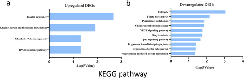 Figure 5. KEGG enrichment result of upregulated and downregulated DEGs respectively. DEGs. Abscissa represents -Log (pValue), and ordinate represents KEGG terms. KEGG: Kyoto Encyclopedia of Genes and Genomes.