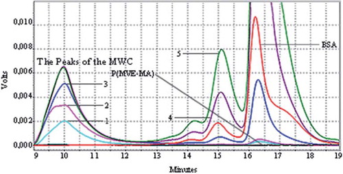 Figure 2. Microwave Assisted Conjugates (MWC): HPLC chromatograms of BSA, P(MVE-MA), and BSA-P(MVE-MA) conjugates prepared at ratio on nBSA/nP(MVE-MA): 0.25(1), 0.5(2), 1(3), 3(4), 5(5).