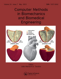Cover image for Computer Methods in Biomechanics and Biomedical Engineering, Volume 26, Issue 7, 2023