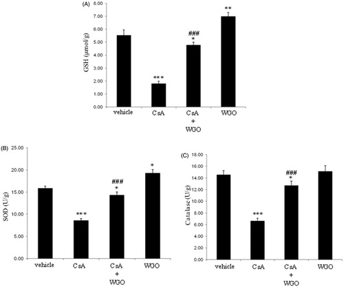 Figure 3. Effects of CsA and/or WGO on hepatic content of GSH (A) as well as enzymatic activities of SOD (B) and CAT (C) in male Wistar albino rats. Data represent means ± SD (n = 6), *p < 0.05, **p < 0.01, ***p < 0.001 versus control, ###p < 0.001 versus CsA-alone-treated animals.