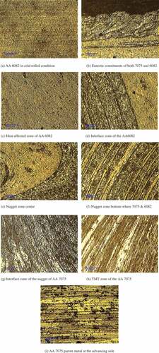 Figure 10. Microstructural investigations on different zones