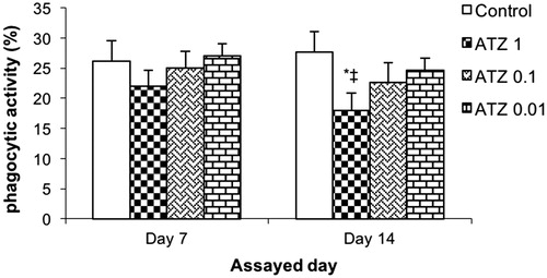 Figure 3. Ex vivo phagocytic activity of leukocyte. Turtles were injected once with different concentrations of atrazine and assayed on Day 7 and 14 post-treatment. Bars shown are mean ± SD (n = 6/group). (L-R: Control, ATZ 1.0, ATZ 0.1, ATZ 0.01). *Value significant from control or ‡from lowest ATZ dose (p < 0.05).