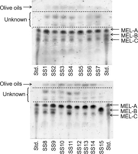 Fig. 4. Detection of glycolipid BSs by isolated yeast strains.Notes: Cultivation was performed with a production medium (50 g/L of olive oil, 3 g/L of NaNO3, 0.25 g/L of KH2PO4, 0.25 g/L of MgSO4 7H2O, 1 g/L of yeast extract, pH 6.0). The products were extracted with ethyl acetate, and the extracts were spotted on a TLC plate and detected by means of anthrone/sulfuric acid reagent.