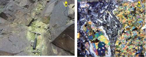 Figure 7. Primitive mantle-normalized trace element patterns for different igneous rocks of Shahrab area.