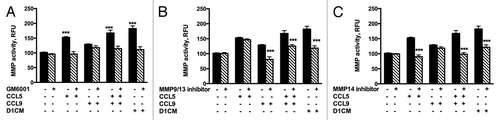 Figure 8. D1 mesenchymal stem cell CM, CCL5, and CCL9 promoted the activities of MMPs including MMP9/13 and MMP14. MMP activities of supernatants collected from 4T1 cells incubated 24 h with either media alone, CCL5, CCL9, or D1CM were freeze-dried and concentrated to 1/10 of their initial volume were assayed according to the manufacturer’s recommendations (see Materials and Methods for details). To determine whether the activities of MMP9/13 or MMP14 were altered by either CCL5, CCL9, the combination CCL5–CCL9 or D1CM, specific inhibitors of MMP9/13 (10 nM) and MMP14 (50 nM), along with the general MMP inhibitor GM6001 (10 nM) were added to the reaction. Data are expressed in relative fluorescence unit (RFU). Data were analyzed by one-way ANOVA and differences between treatment groups tested using the Student Newman–Keuls post-hoc test. ***P < 0.001 compared with MMP activities of 4T1 cells incubated with 0% FBS alone.