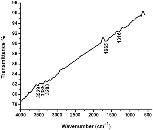 Figure 4. FTIR analysis and SAED pattern of AuNPs synthesised from CR-AuNPs.