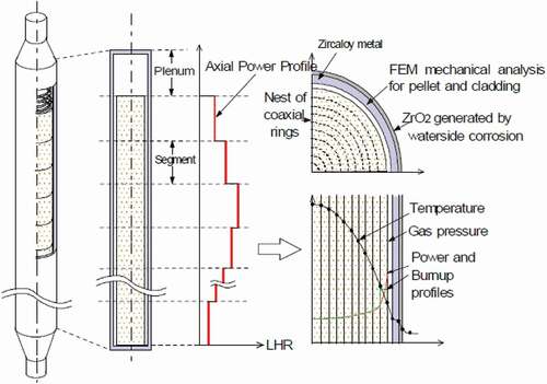 Figure 1. Calculation geometry of FEMAXI-8 [Citation11].