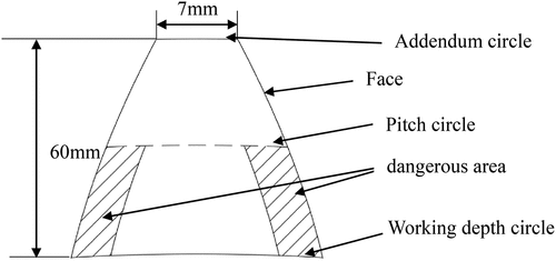 Figure 3. Schematic diagram of the dangerous area prone to cracks of gear tooth.