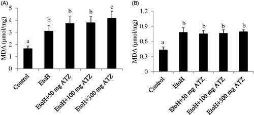 Figure 1. Effects of ethanol (EtoH) and the combination with different doses of atrazine (ATZ) on malondialdehyde (MDA) concentration in the liver (A) and kidney (B) of rats after 3 weeks treatment regimen. Data are presented as the mean ± SD (n = 6). Data with different superscripts are significantly different (p < .05).