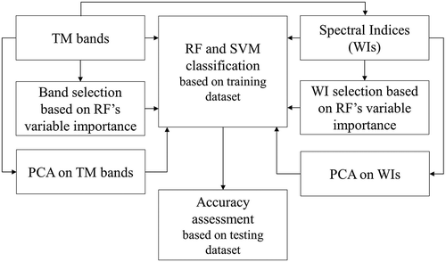 Figure 2. Flowchart of the classification process.