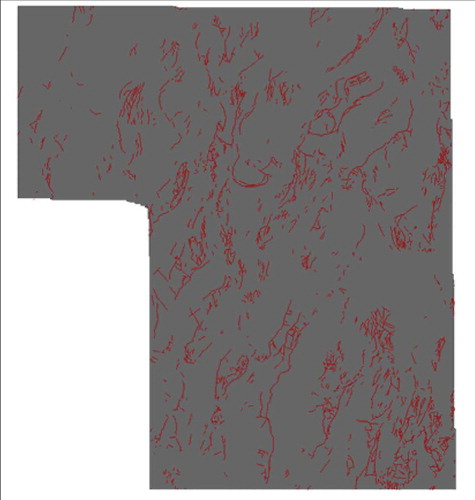 Figure 7. Faults in the study area