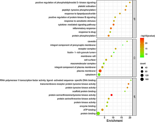 Figure 7 The top 10 of GO enrichment analysis for target genes of SCYYD against OM.