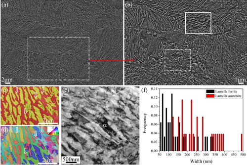 Figure 1. (a) SEM image of present medium Mn steel with dual-phase heterogeneous structure. (b) Magnified view of dashed rectangle in (a). Solid rectangle marks lamella structure; Dashed rectangle marks the granular structure. (c) EBSD phase map showing the lamella ferrite and lamella austenite. Red: ferrite; yellow: austenite. Black line represents high angle boundaries (θ > 15°); white line represents low angle boundaries (2° < θ < 15°). The white arrows mark austenite grains that are fully surrounded by lamella ferrite. (d) The corresponding orientation image. (e) TEM image of lamella structure—α: ferrite; γ: austenite. (f) The width distribution of lamella ferrite and lamella austenite.