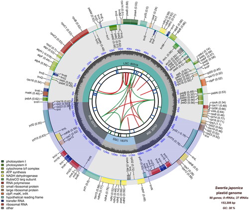 Figure 2. The complete chloroplast genome of Swertia japonica. The map contains six tracks. From the center outward, the first track displays the dispersed repeats. The dispersed repeats consist of direct and palindromic repeats, connected with red and green arcs. The second track shows long tandem repeats as short blue bars. The third track shows short tandem repeats or microsatellite sequences as short bars with different colors. The small single-copy (SSC), inverted repeat (IRA and IRB), and large single-copy (LSC) regions are shown on the fourth track. The GC content along the genome is plotted on the fifth track. The genes are shown on the sixth track. Optional codon usage bias is displayed in parentheses after the gene name. Genes belonging to different functional groups are color-coded. Genes on the inside and outside of the map are transcribed in clockwise and counterclockwise directions, respectively.