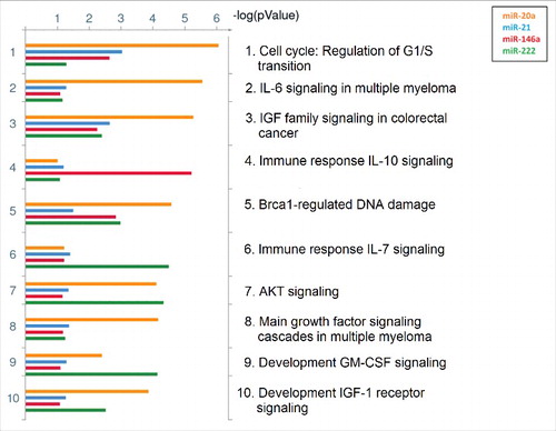 Figure 2. Common putative pathways regulated by identified targets of the significant miRNAs. The top 10 shared pathways for targets of miR-20a, miR-21, miR-146a, and miR-222 are ranked based on their minimum P-value, provided by MetaCore™. Pathways regulated by miR-20a are indicated with orange bars, miR-21 with blue bars, miR-146a with red bars, and miR-222 with green bars. Size of the bars is indicative of the P-value for that respective miRNA.
