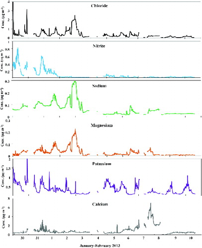 FIG. 4. Time patterns of chloride, nitrite, sodium, magnesium, potassium, and calcium determined by the pcPILS-IC.