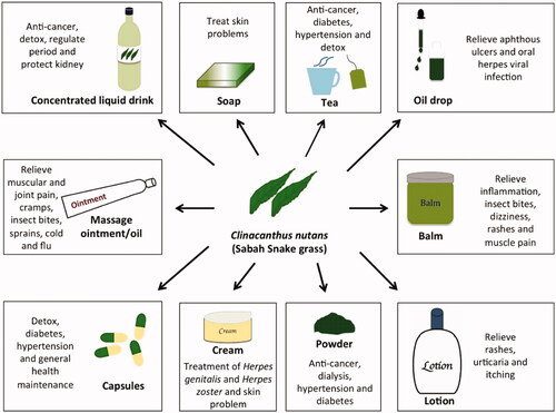 Figure 2. Commercial products made with Clinacanthus nutans available on the market.