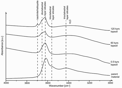 Figure 7. Fourier transform infrared spectra of the <2 µm fraction of the parent material and topsoil horizons from different sites. The kaolinite content increases slightly with increasing site age and degree of weathering, whereas the amount of trioctahedral layer silicates decreases.