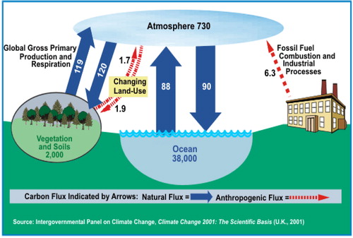 Figure 5. Global carbon cycle model. The figure to the right shows part of the global carbon cycle. It shows some of the different places or reservoirs where carbon is found on the planet and the amount of carbon in gigatonnes (Gt) in each of those places. The arrows show the number of gigatonnes of carbon that move in and out of the atmosphere every year.