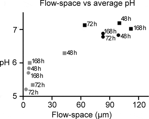 Figure 4. The influence of the flow-space on biofilm pH. A strong correlation was observed between the average pH measured in a biofilm and the flow space. A high flow space and thus saliva film thickness resulted in low pH drops in the biofilms. Grey and black symbols represents the average pH in biofilms exposed to low (≤ 50 µm) and high (> 50 µm) flow-space, respectively