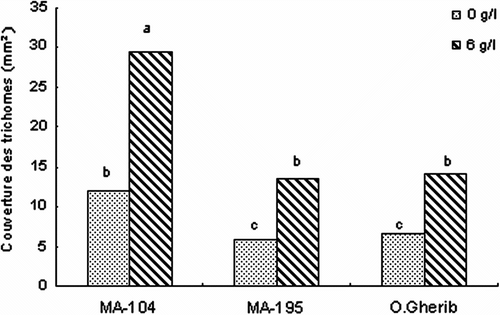 Fig. 7 -Effect of NaCl on the trichomes foliar cover of white poplar clones (MA-104, MA-195 and O. Gherib). Values represent the mean of forty-eight individual measurements. Fig. 7. Effet de NaCl sur la couverture foliaire en trichomes des clones de peuplier blanc (MA-104, MA-195 et O.Gherib). Les valeurs représentent les moyennes de quarante-huit mesures individuelles.