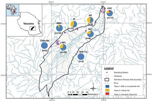Figure 7. A map of Kilombero Valley Ramsar Site with pie charts showing the proportion of bioassay toxicity classes of 75 samples (sediment and soils), for each sampling stations (adopted from Materu Citation2015)