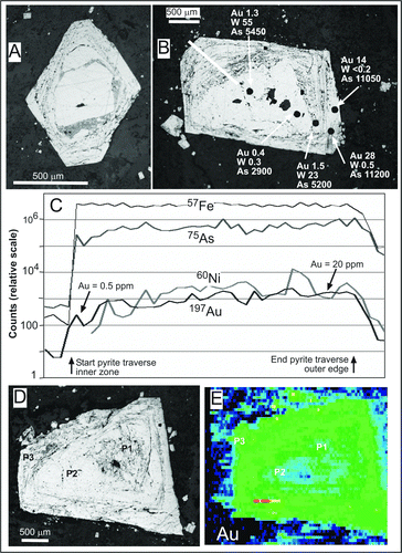 Figure 8  Textures and compositions of some pyrite porphyroblasts from a graphitic micaceous shear at Golden Bar pit, Macraes mine. LA-ICP-MS spot analyses for Au, As and W are in ppm; P1, P2, P3 refer to specific growth generations mentioned in the text. A, B, Scanning electron images of etched porphyroblasts, showing several growth zones. C, LA-ICP-MS traverse across part of the porphyroblast in B (thick white line). D, Scanning electron image of a pyrite porphyroblast. E, LA-ICP-MS Au map at the same scale as image in D. Colour scale is relative and logarithmic, with lowest concentrations in shades of black and blue, and highest concentrations in shades of red and orange. Red zone (lower left) is a native gold grain.