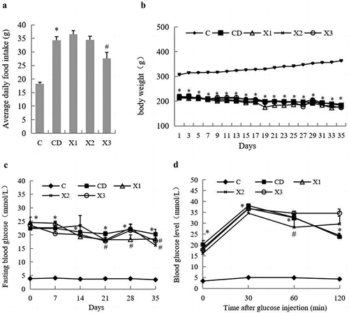 Figure 1. Effects of xylitol on food intake (A) and body weight gain (B) in different animal groups during the whole feeding period. Fasting blood glucose concentrations were measured during the 5-week experimental period (C). Oral glucose tolerance test (OGTT) on the last day of the experimental period (D). Results are given as means ± SEM. Differences between groups were determined by ANOVA followed by Duncan’s test. * p < .05 vs control group; # p < .05 vs diabetic control group. C: control group; CD: diabetic control group; X1: 1.25 g/kg·bw xylitol; X2: 2.5 g/kg·bw xylitol; X3: 5 g/kg·bw xylitol.