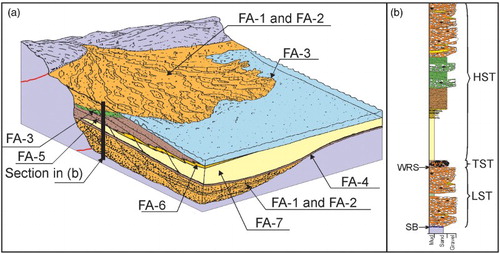 Figure 4. (a) Schematic block diagram illustrating the depositional settings and stratigraphic relationships of the Zanclean rocks in the Baronia Mountains area; (b) Schematic stratigraphic section (not to scale) showing the sequence stratigraphic framework.
