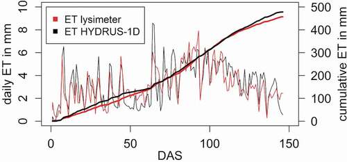 Figure 9. Observed and simulated evapotranspiration (ET) at the lysimeter station Groß-Enzersdorf from DAS 0 to 145.