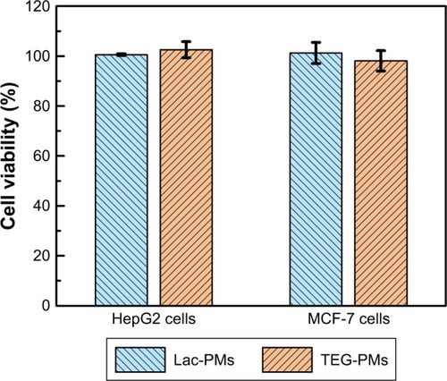 Figure 9 Phototoxicities of Lac-PMs and TEG-PMs to HepG2 cells and MCF-7 cells.Notes: The cells were incubated with the NPs for 4 hours at 37°C, respectively. After being washed with PBS, they were exposed to an LED array photosource (λ=595–600 nm, 8.6 mW cm−2) for 30 minutes and further cultured for 24 hours at 37°C. The cytotoxicity was then determined using MTT assay. Data are presented as the average ± SD (n=5).Abbreviations: PMs, polydopamine–MNP composite nanoparticles; Lac-PMs, lactose-modified PMs; TEG-PMs, triethylene glycol–modified PMs.