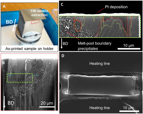 Figure 2. Lamella preparation. (A) shows the as-printed sample showing approximately the location of FIB lamella extraction with build direction (BD) marked. (B) is a BSE image of the sample in FIB-SEM wherein the location for final lamella extraction is marked in green. (C) shows the thinned-down lamella before placement on the heating chip. The bright layer on top of the lamella is a protective Pt deposition. Red and yellow lines mark the location of grain boundaries, as seen from both sides of the lamella. (D) Shows the placement of the lamella between two heating lines on the in-situ heating chip. Corners are glued by Pt deposition.