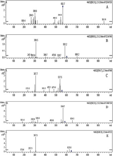 Figure 4. The secondary mass spectrogram (MS2) of compounds in brown pigment from vacuum-fried P. eryngii. (A) Compound 1 (m/z = 562.9), (B) compound 2 (m/z = 600.8), (C) compound 3 (m/z = 554.7), (D) compound 4 (m/z = 582.8) and (E) compound 5 (m/z = 642.8).
