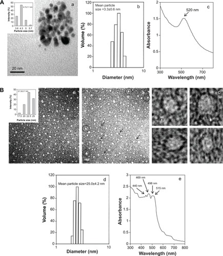 Figure 1 Characterization data of gold nanoparticles and lycopene–nanogold nanoemulsion, as determined by TEM, DLS, and UV–visible spectrophotometer.Notes: (A) Gold nanoparticles; (B) lycopene–nanogold nanoemulsion. (Aa) TEM image of gold nanoparticles along with the particle size distribution histogram showing the mean particle size ± standard deviation in the range of 3.6–5.7 nm. (Ab) Particle size distribution as measured by DLS showing the mean particle size ± standard deviation (n=3). (Ac) UV–visible spectrum depicting the SPR peak of the gold nanoparticle. (Ba) TEM image of the lycopene–nanogold nanoemulsion in a negatively-stained background along with the particle size distribution histogram showing the mean particle size ± standard deviation in the range of 17.5–25.0 nm. (Bb) TEM image with reduced contrast of the (Ba) image to reveal the gold nanoparticles, which are seen as black dots around each nanoemulsion particle, as well as numerous scattered gold nanoparticles (some identified using black arrows). (Bc) Some enhanced TEM images of individual nanoemulsion particles (shown as dotted circles in Bb), illustrating gold nanoparticles as black dots necklacing each nanoemulsion particle. (Bd) Particle size distribution as measured by DLS showing the mean particle size ± standard deviation (n=3). (Be) UV–visible spectrum showing the SPR peak of gold nanoparticles, as well as the unique three-peak fine spectrum of lycopene.Abbreviations: TEM, transmission electron microscopy; DLS, dynamic light scattering; UV, ultraviolet; n, number of replicates; SPR, surface plasmon resonance.