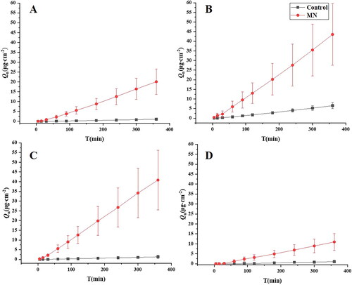 Figure 3. 6 h in vitro transdermal permeation curves of model drugs with and without microneedle action (n = 6). (A) Curcumin; (B) Cinnamaldehyde; (C) Ferulic acid; (D) Geniposide.
