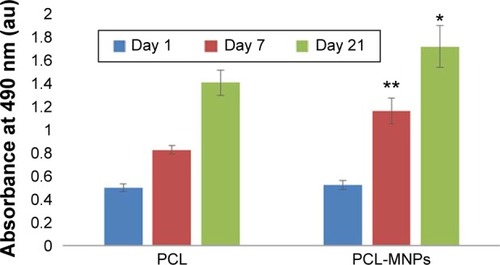 Figure 5 Metabolic activity of the MSCs measured by MTS assay.Notes: Statistical analysis: *P<0.05; **P<0.001.Abbreviations: MSCs, mesenchymal stem cells; MTS, 3-(4,5-dimethylthiazol-2-yl)-5-(3-carboxymethoxyphenyl)-2-(4-sulfophenyl)-2H-tetrazolium; PCL, poly-ε-caprolactone scaffold; PCL-MNPs, poly-ε-caprolactone scaffold with magnetic nanoparticles.