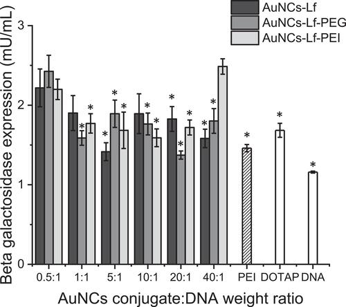 Figure 7 Transfection efficacy of AuNCs-Lf, AuNCs-Lf-PEG and AuNCs-Lf-PEI complexes at various conjugates: DNA weight ratios in PC-3 cells. Results are expressed as the mean ± SEM of three replicates (n=15). *P < 0.05 versus the highest transfection ratio.