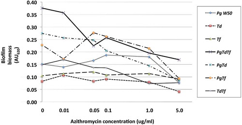 Figure 2. Effect of azithromycin up to 5.0 mg/L on the red complex mono- and polymicrobial biofilms in a 96-well plate model. Azithromycin at concentrations 0–100 mg/L was incubated with bacterial cultures for 48 h under anaerobic conditions. Data points represent the mean AU620 value of a minimum of three biological replicates. Note the categorical scale.