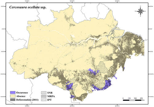 Figure 34. Occurrence area and records of Cercosaura ocellata ssp. in the Brazilian Amazonia, showing the overlap with protected and deforested areas.
