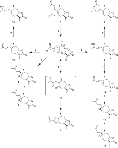 Scheme 1.  Synthesis of compounds 2, 4, 5, and 7–14. Reagents: (a) SiO2, RT, 2 days, 100%; (b) PCC, CH2Cl2, refluxing, 8 days (4, 5%; 5, 4%); (c) dry air, tetraphenylporphine, CH2Cl2, hυ, 15°C, 5 h, 14%; (d) NaBH4, MeOH, 0°C, 3 h (8, 95%; 14, 95%); (e) AcCl, TEA, CH2Cl2, RT, 24 h, 12%; (f) DDQ, toluene, refluxing, 3h (10, 42%, 11, 2%; 12, 2%); (g) NaBH4, NiCl2, MeOH, 0°C, 3 h, 79%.