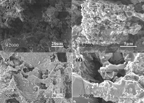 Figure 4. SEM images with different magnifications of the ceramsites obtained from 1100°C for different duration time. (a) and (b) 10 min, (c) and (d) 30 min
