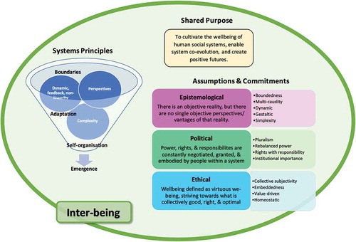 Figure 1. The SIPP perspective, which has a shared purpose, draws on systems principles, makes epistemological, political, and ethical assumptions, all grounded in the broader assumption that humans inter-dependently co-exist with themselves, others, and the environment in which they exist (i.e., inter-being).