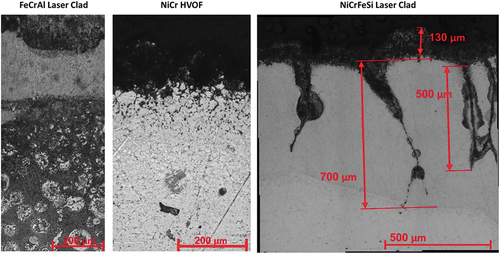 Figure 5. Optical micrographs of the three different coatings after 1000h exposures.